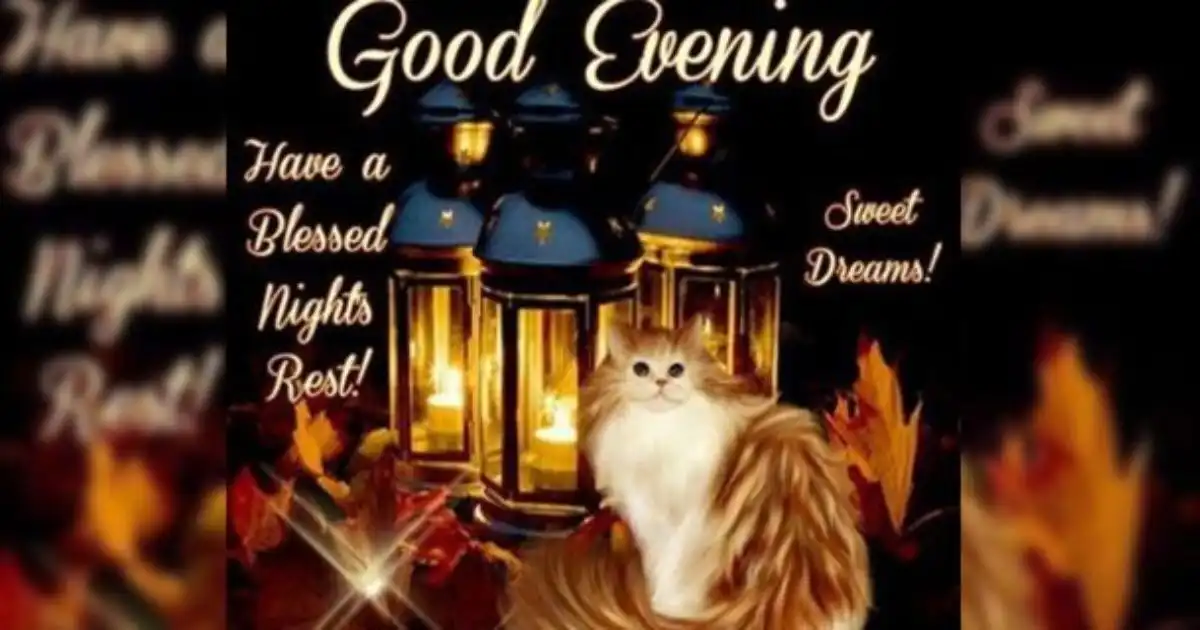 Peaceful Evening Blessings